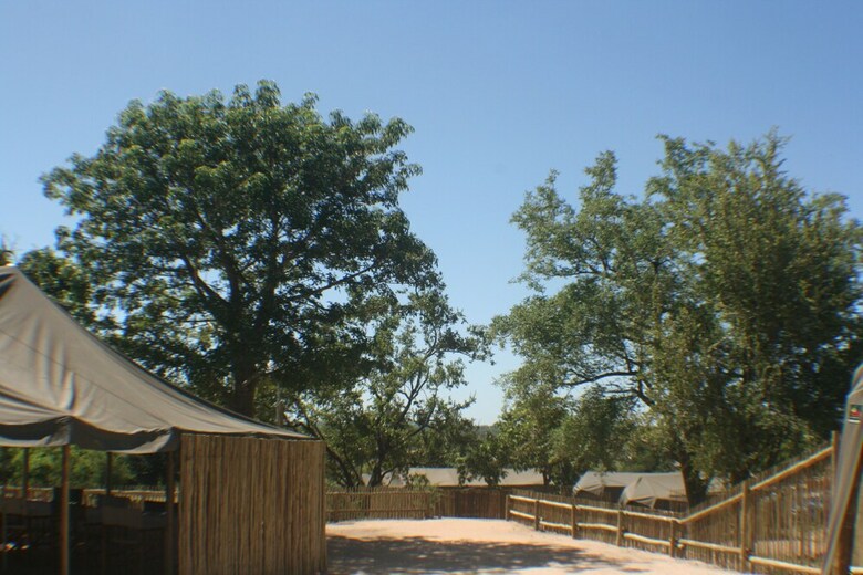 Posada Distinctly Africa - Manyeleti
