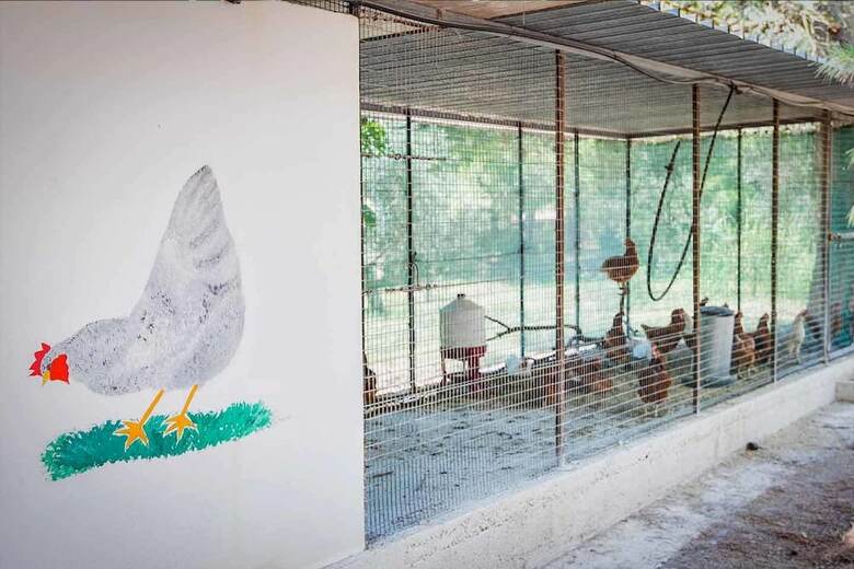 Agroturismo Torre Casciani
