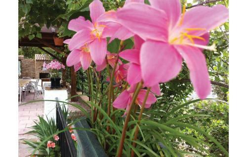 Holiday Home La R�bita