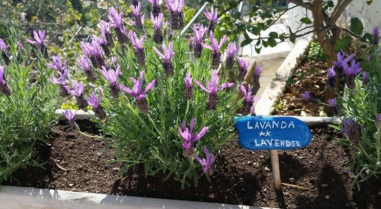 B&B Il Giardino Stellato Di Michela