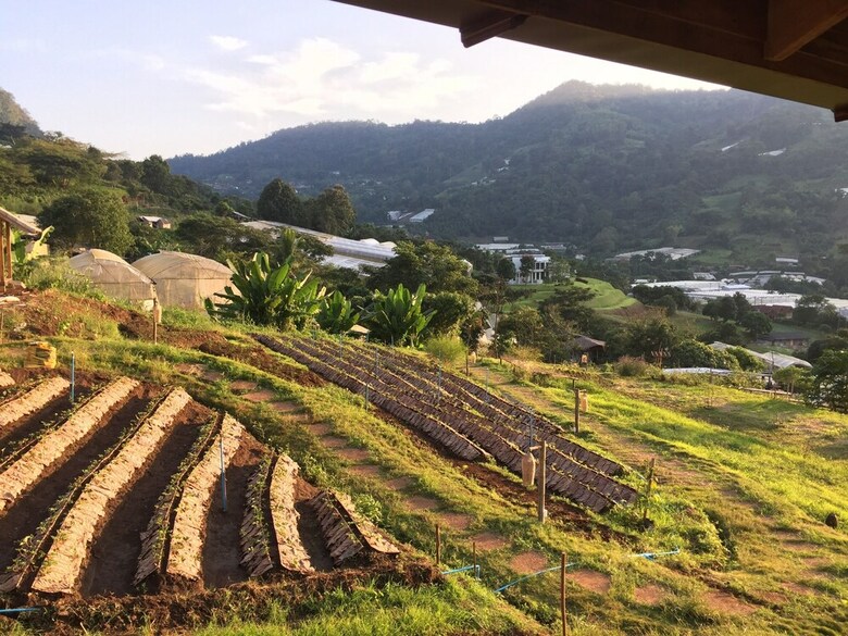 Hotel Mori Natural Farm
