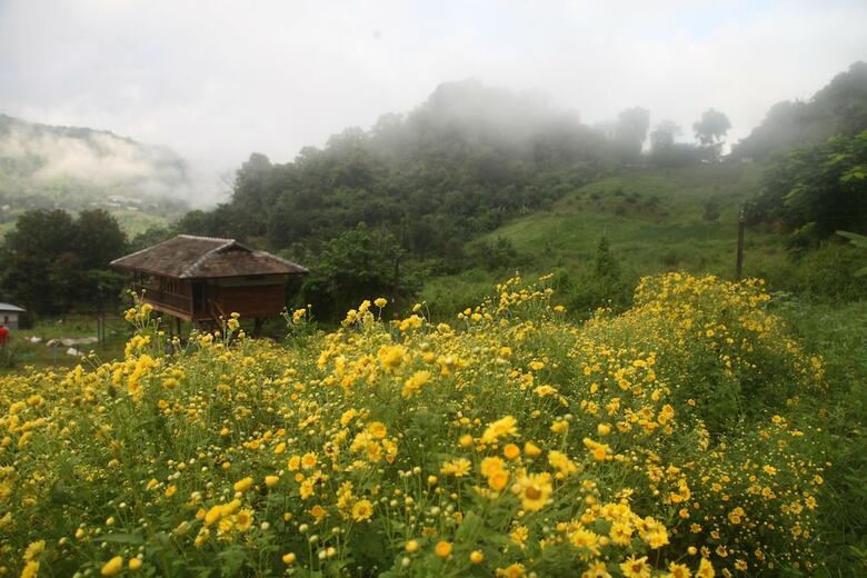 Hotel Mori Natural Farm