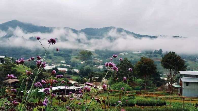 Hotel Mori Natural Farm