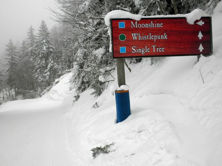 4 Br: Whistlepunk 12