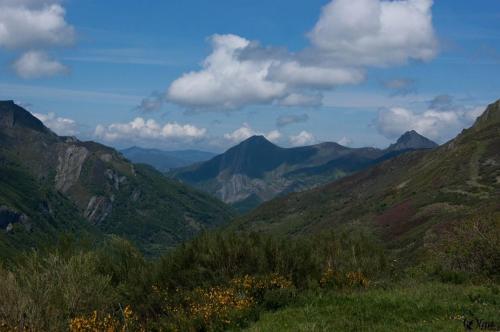 Apartamento Casa Marcelo