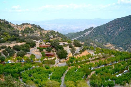 Camping Serra De Prades
