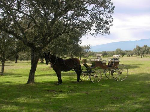 Hostal La Posada H�pica