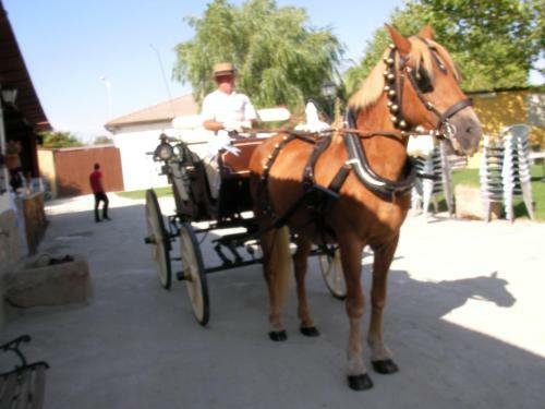 Hostal La Posada H�pica