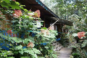 Playa Chiquita Lodge