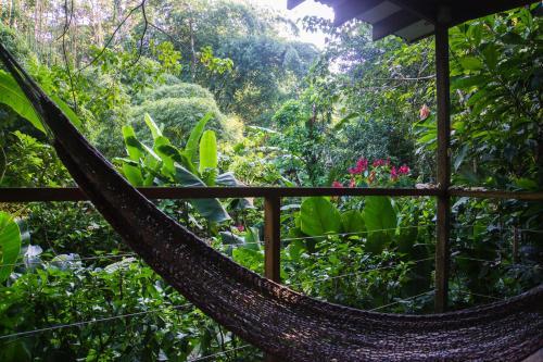 Bed & Breakfast El Tucan Jungle Lodge