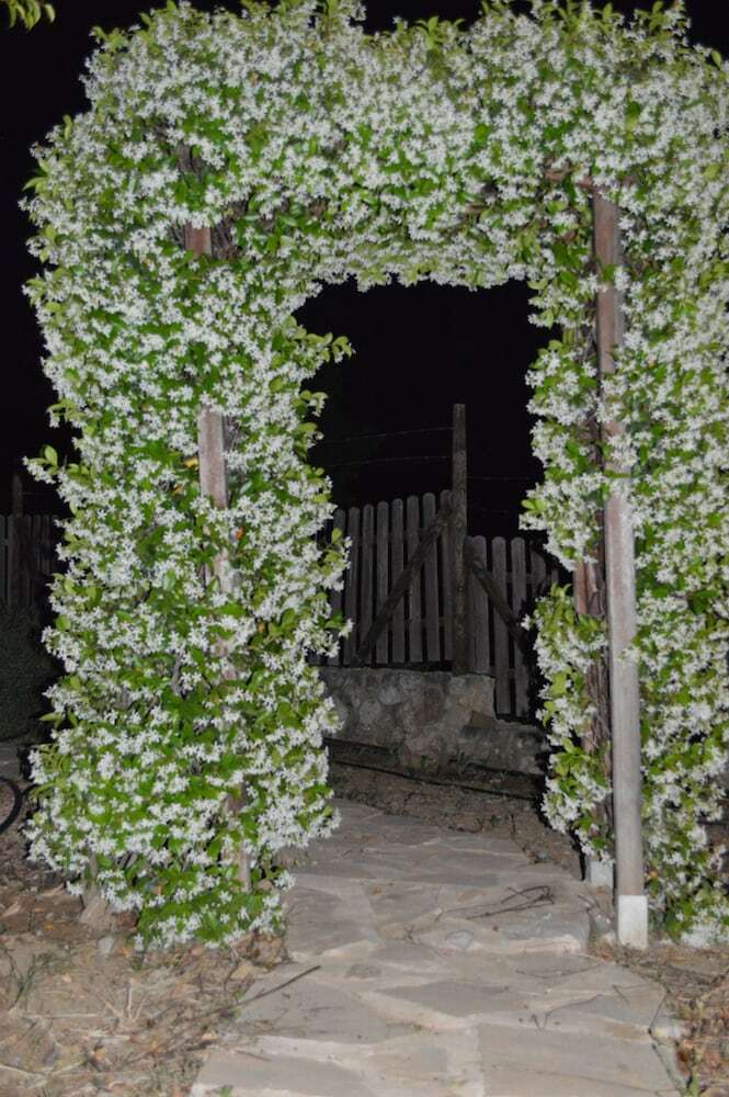 Agroturismo Cortijo Veracruz