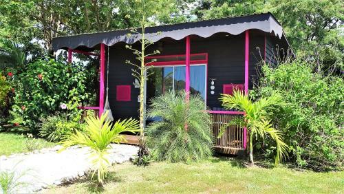 Bed & Breakfast La Colina Pura Vista