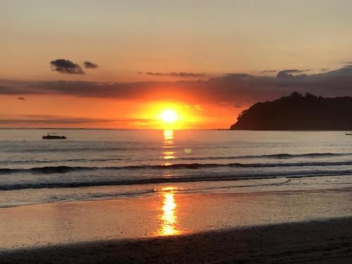Hostal Fenix Hotel - On The Beach