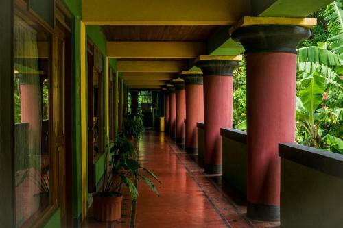 Lake Arenal Hotel And Microbrewery