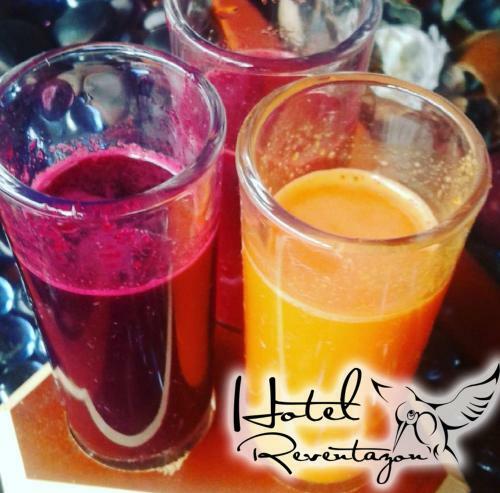 Hostal Hotel Reventazon & Guesthouse