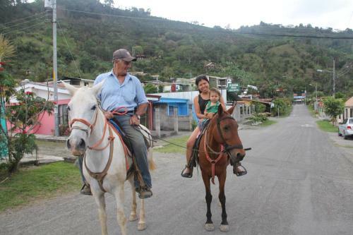 Hostal Hotel Reventazon & Guesthouse