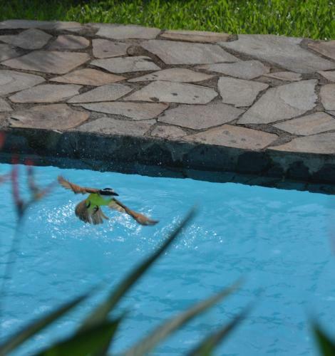 Bed & Breakfast Tiriguro Lodge