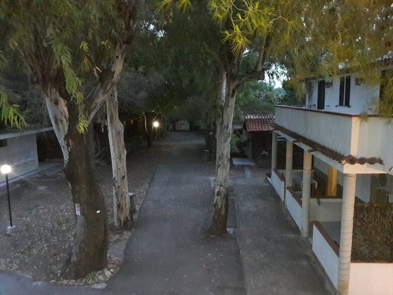 Viola Club Village