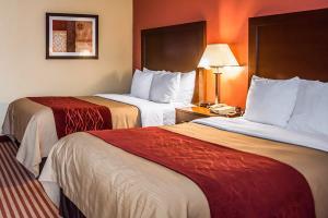 Hotel Comfort Inn & Suites