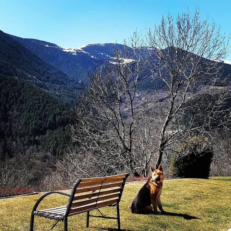 Apartamentos El Serrat Turisme Rural