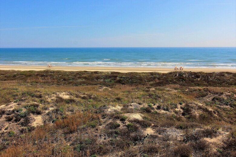 Cinnamon Shore- Sea Glass 202 Se
