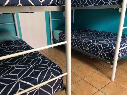 Hostal Darwin Hostel