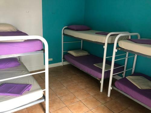 Hostal Darwin Hostel