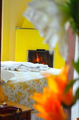 Hostal Pousada Vida Verde