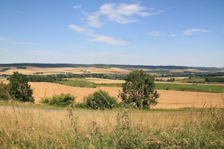 Hotel Le Haut Mesnil - 3