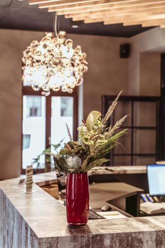 Hotel Alexxanders Restaurant & Bordinghouse