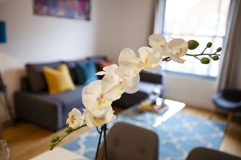 Apartamentos The Ruskin