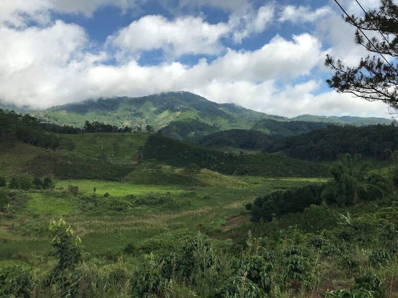 Hotel Chappi Mountains Resort