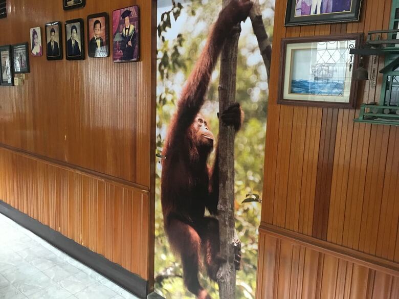 Bed & Breakfast Arut Riverside Orangutan Guest House