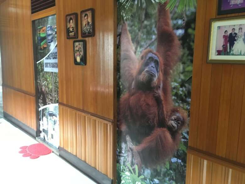 Bed & Breakfast Arut Riverside Orangutan Guest House