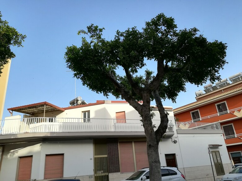 Apartamento Case Degli Avi Nel Borgo Marinaro