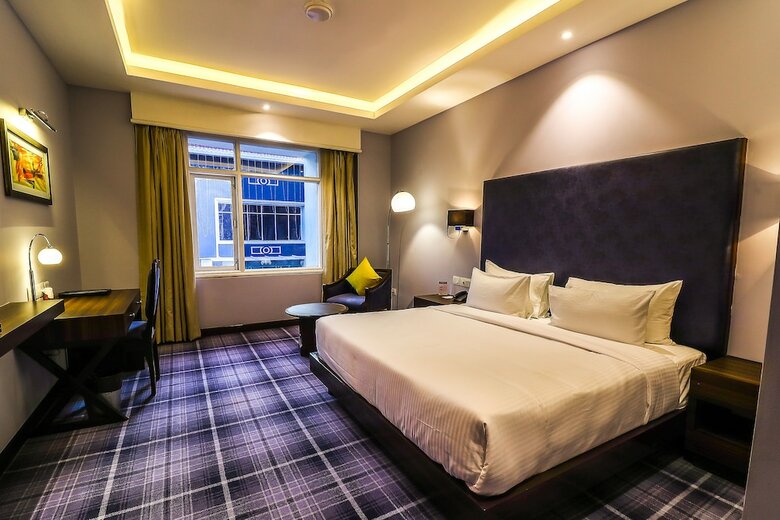 Hotel Piccadily Raipur