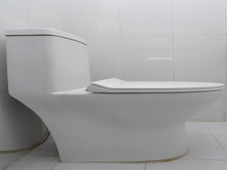 Oyo 382 Hotel Dela Mount