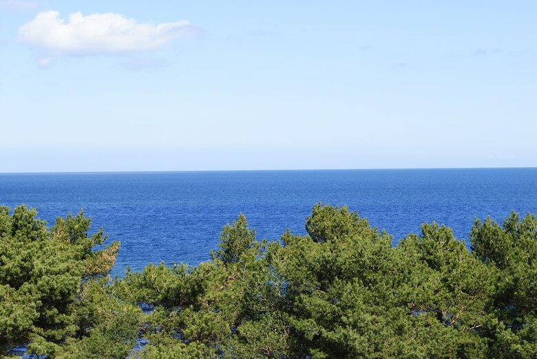 Rugard Thermal Strandhotel