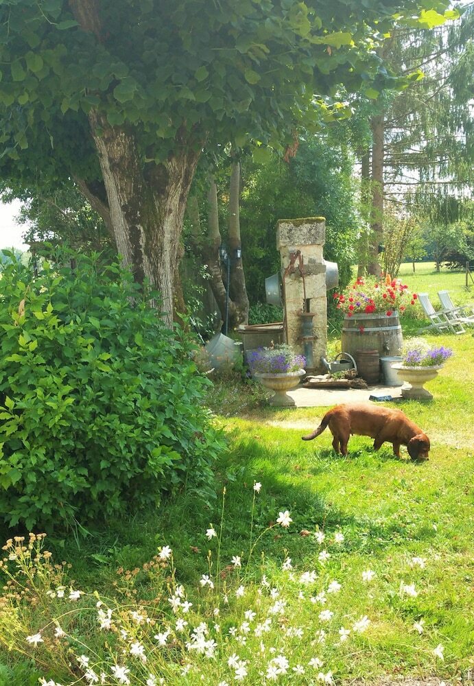 B&B Le Savoir Vivre