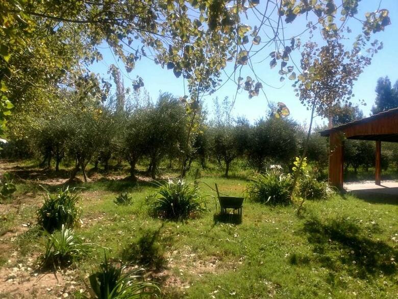 Establecimiento Finca Do�a Maria