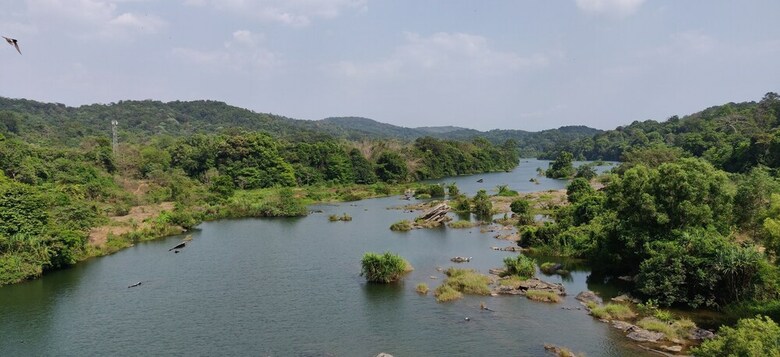 Hotel Paradise Wild Hills