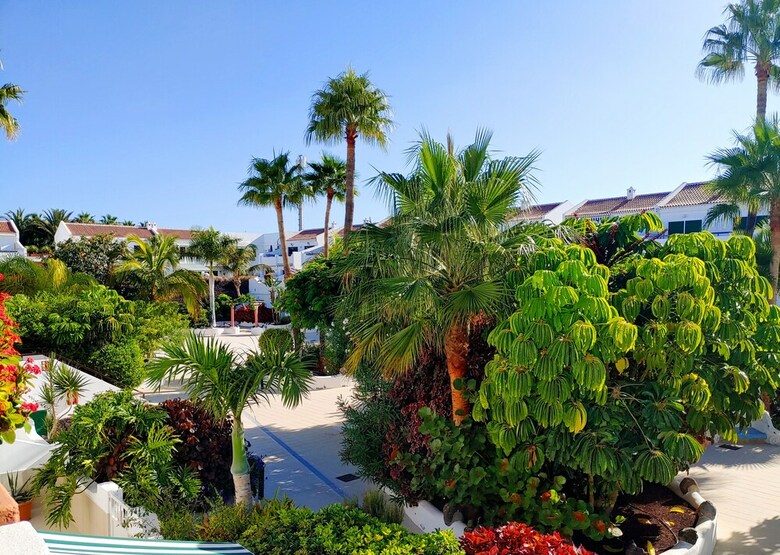 Green Apartment In Don Jose