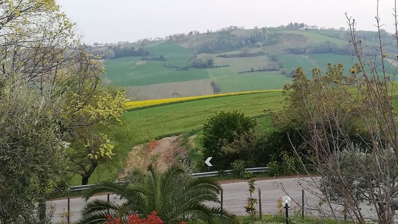 B&B Sotto L'ulivo