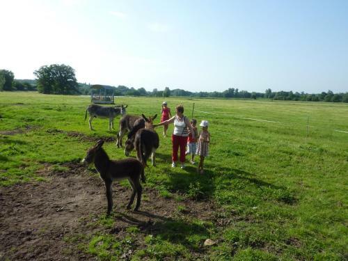 Bed & Breakfast Chambres D'h�tes De La Junch�re