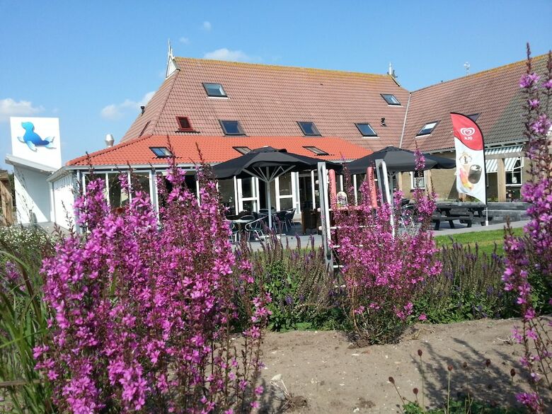 Recreatie de Zeehoeve - Campsite