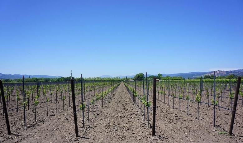 Agroturismo Cal Peret Parera