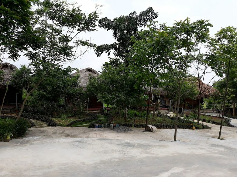 Hotel Cuc Phuong Bungalow