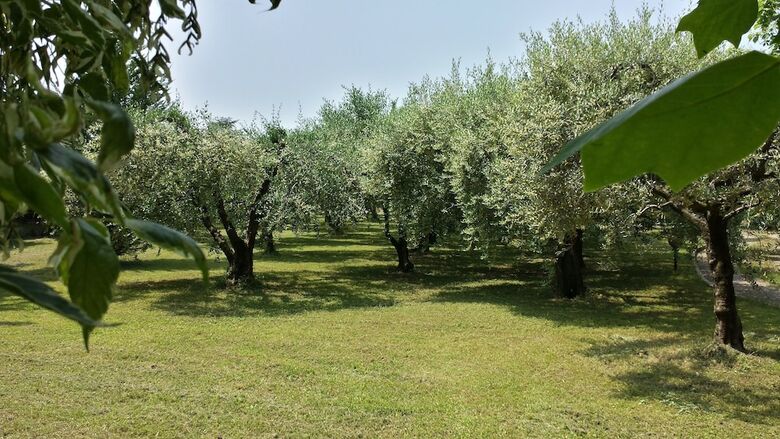 Apartamento Casa Dell'artista