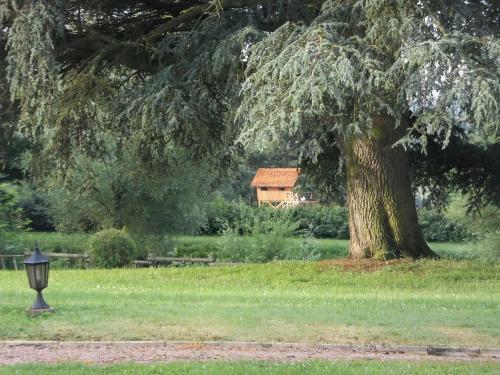 Hostal Domaine Des Grands C�dres - Maison D'h�tes