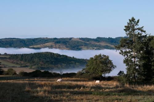 Hostal Domaine Des Grands C�dres - Maison D'h�tes